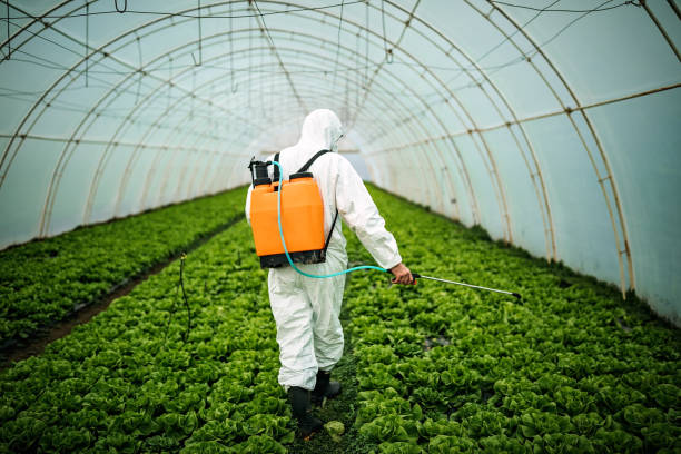 Best Pest Control Near Me in El Centro, CA