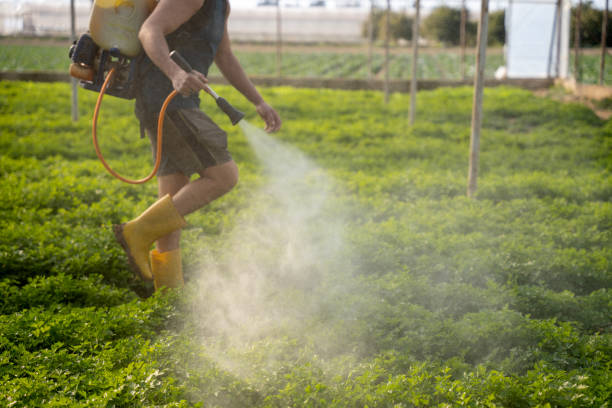 Best Pest Control for Businesses  in El Centro, CA