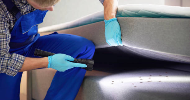 Best Pest Prevention Services  in El Centro, CA